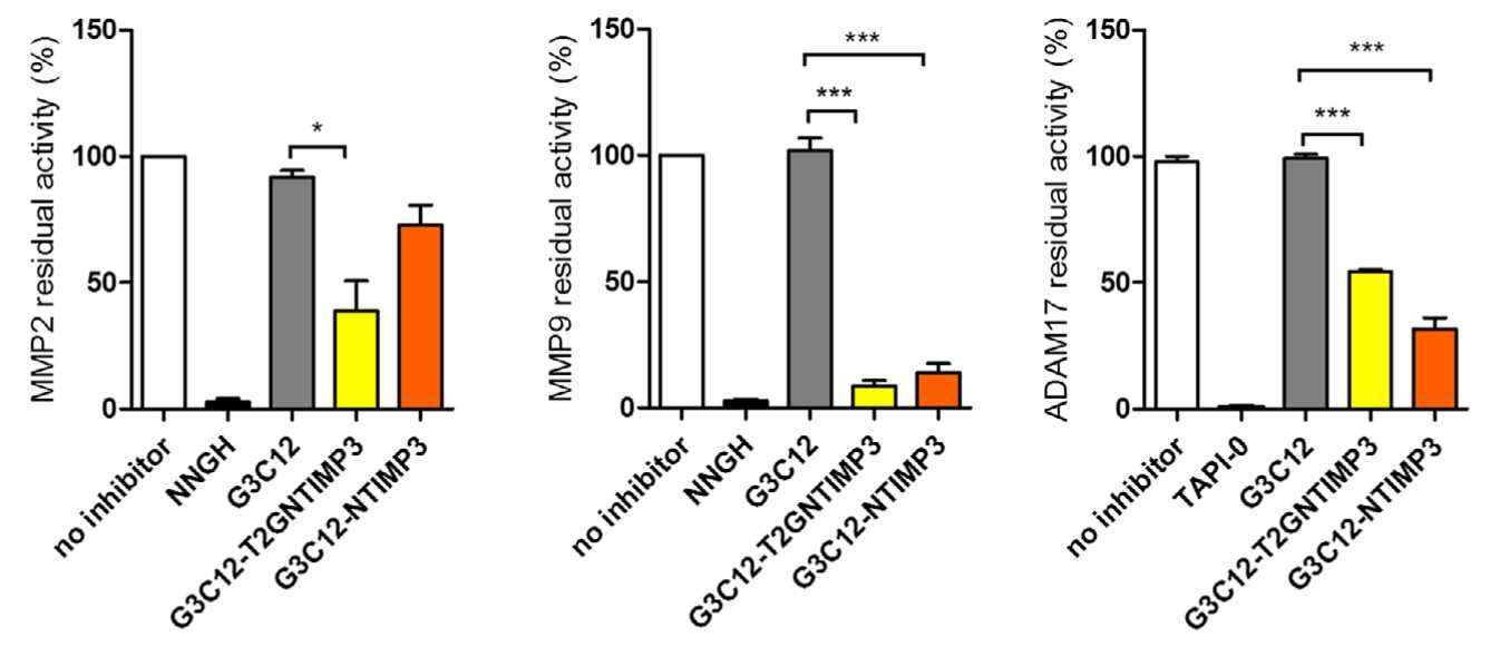 Inhibition of human MMP2, MMP9, and ADAM17 enzyme activity.jpg